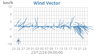 Wind Vector