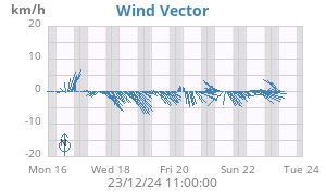 Wind Vector