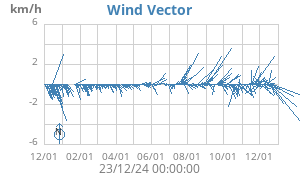 Wind Vector